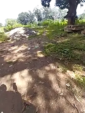 sudhastriper online show from 10-26-25, 07:53