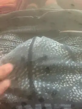 solomec online show from 10-12-25, 07:43