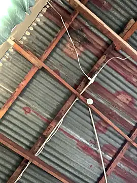 SEXY TOKYOxxx online show from 12-15-25, 05:57