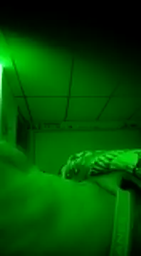 tryinitoutagain online show from 12-29-24, 10:23