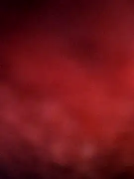 sana14 online show from 12-14-25, 09:53