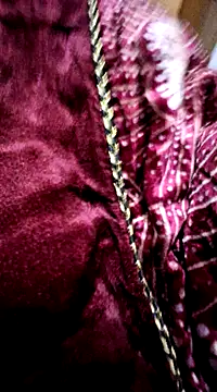 menakshiiikaur online show from 12-24-24, 02:22