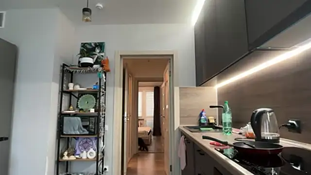 Snapshot of jainesummer chatting on 12-04-25, 08:46 jainesummer online show from 12-04-25, 08:46