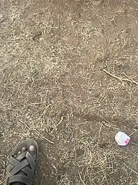 Snapshot of tamil000000 chatting on 03-10-25, 12:49 tamil000000 online show from 03-10-25, 12:49