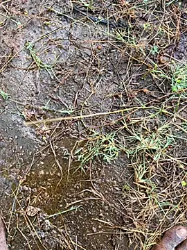 Snapshot of tamil000000 chatting on 03-13-25, 01:43 tamil000000 online show from 03-13-25, 01:43