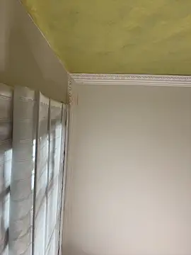 aurora divine online show from 11-16-25, 01:05