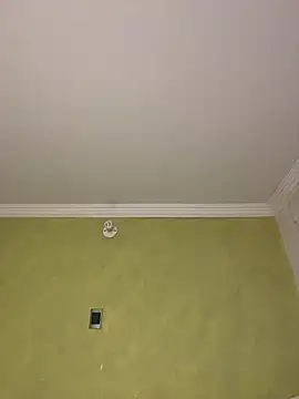 aurora divine online show from 02-11-26, 10:53