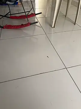 vivicolibri online show from 11-27-25, 12:49