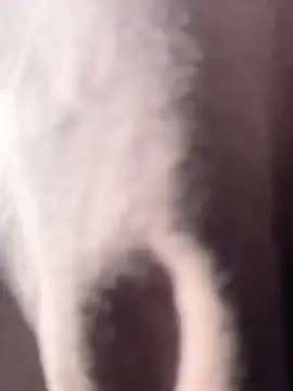 vivicolibri online show from 12-18-25, 08:56