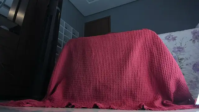 sherilkwang19tv online show from 01-12-26, 12:50