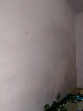 Snapshot of Alisson_420 chatting on 02-11-25, 06:55 Alisson 420 online show from 02-11-25, 06:55