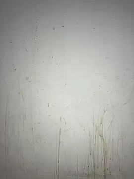 poision51 online show from 01-27-25, 06:30