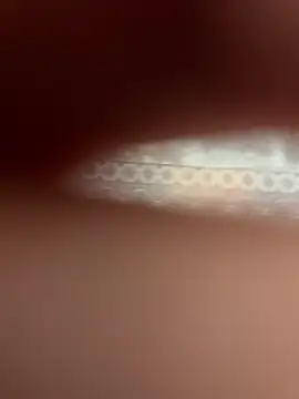 poision51 online show from 04-11-26, 06:32