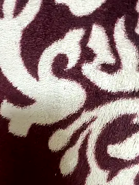 poision51 online show from 11-17-25, 04:38