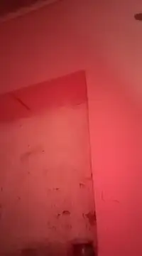 Snapshot of sosarax chatting on 01-30-25, 11:22 sosarax online show from 01-30-25, 11:22