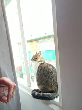 Lolitacooper online show from 04-28-26, 08:13