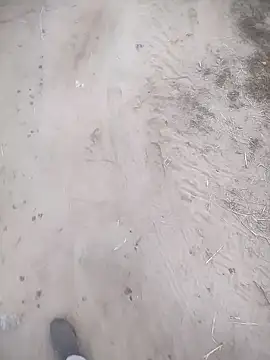 ajaysinghsss online show from 11-10-25, 01:32