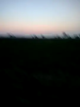 ajaysinghsss online show from 12-05-25, 12:26