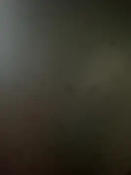 RicarBer online show from 10-25-25, 05:24