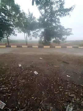 blackcobra94 online show from 12-14-24, 08:13