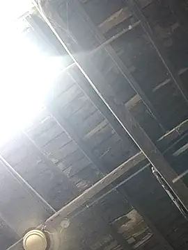 blackcobra94 online show from 02-20-25, 08:36