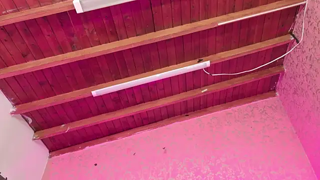 Sofia martiin online show from 11-14-25, 03:10