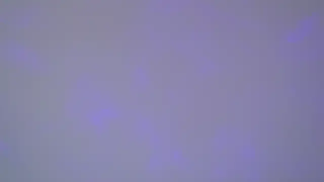 SelinSwarovski online show from 11-01-25, 05:03