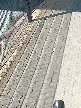 Lexwelll online show from 02-26-25, 08:39