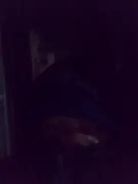 AquaticPlosion online show from 03-02-26, 01:39