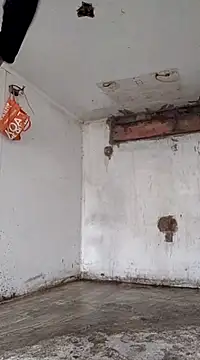 -Lola Bunny online show from 02-16-25, 11:06