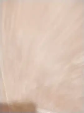 jenilmax online show from 02-14-25, 08:37