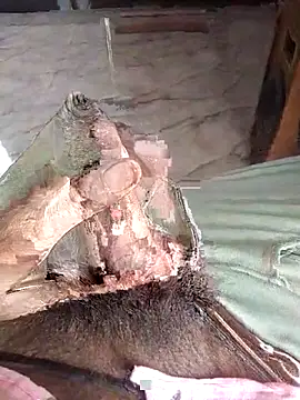 PracticalGum40 online show from 04-12-26, 09:23