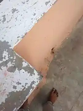 PracticalGum40 online show from 02-21-26, 03:08