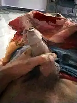 PracticalGum40 online show from 11-20-25, 05:24