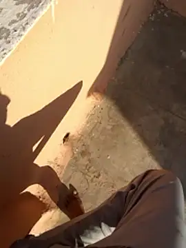 PracticalGum40 online show from 01-11-26, 03:35