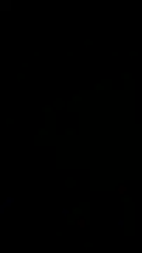 wikilikiliks online show from 12-11-24, 09:23