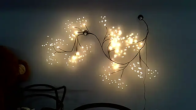 Lucky Anna online show from 12-14-25, 09:04