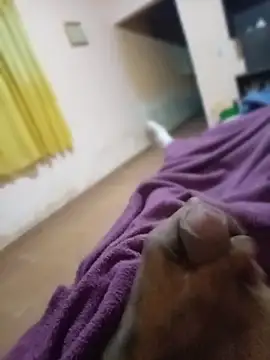 carloshot31 online show from 03-31-26, 08:49