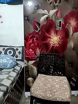 Sneha gril online show from 01-10-26, 02:01