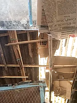 Skinny Bigass 23 online show from 11-17-25, 07:01