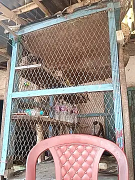 Skinny Bigass 23 online show from 02-03-26, 07:02