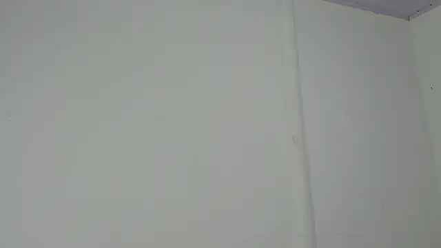 Amir mikelsen online show from 02-13-26, 06:19