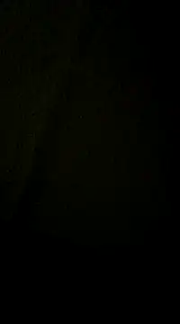 Snapshot of dvaughn3117 chatting on 12-11-24, 04:28 dvaughn3117 online show from 12-11-24, 04:28