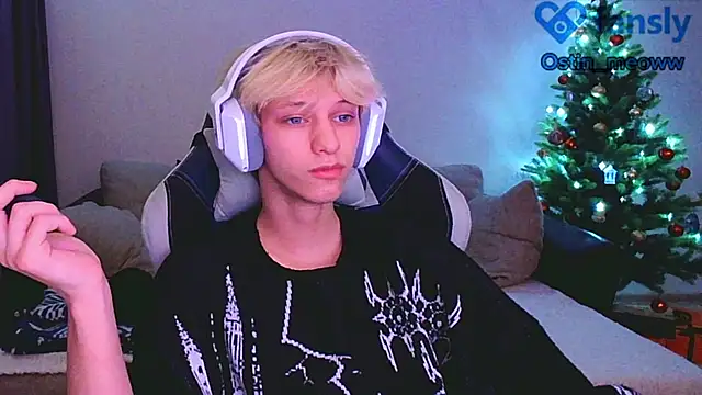 Snapshot of Ostin_meow chatting on 01-12-25, 03:46 Ostin meow online show from 01-12-25, 03:46