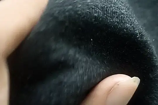 Snapshot of Telugu_sollakaya chatting on 12-02-24, 06:38 Telugu sollakaya online show from 12-02-24, 06:38