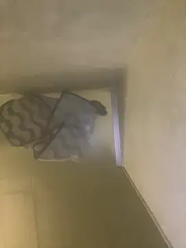 Snapshot of Tommy_y_Pamela chatting on 02-17-26, 03:26 Tommy y Pamela online show from 02-17-26, 03:26