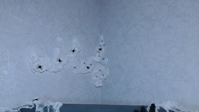 sofiaa here online show from 10-09-25, 12:33