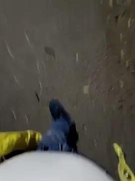 faaseel online show from 11-03-25, 12:42