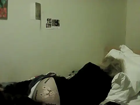 housewife shantie online show from 02-08-26, 08:50