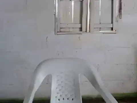 tayler punk noise online show from 12-31-24, 03:42